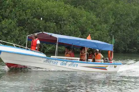 Atividade de observação de golfinhos em Puerto El Morro desde Guayaquil