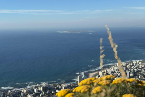 Cape Town: Lion’s Head Sunset – A Story-Led Local Experience