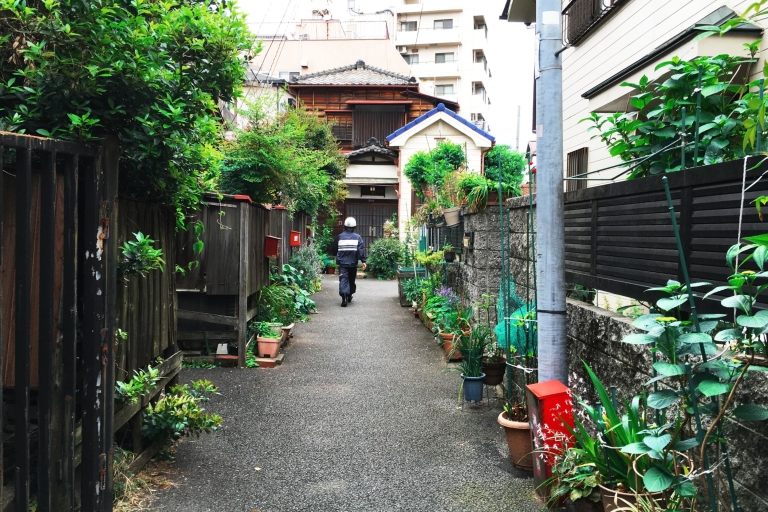 Tokio: spersonalizowana prywatna 6-godzinna wycieczkaSpersonalizowana prywatna wycieczka po Tokio