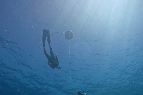 من مدينة أواكساكا: تجربة الغوص الحر في بويرتو إسكونديدو