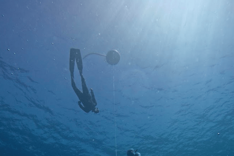 من مدينة أواكساكا: تجربة الغوص الحر في بويرتو إسكونديدو