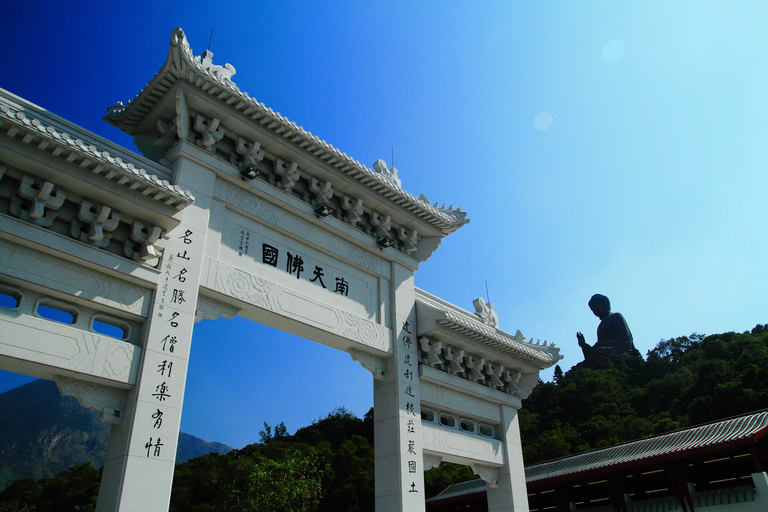 Hong Kong : 360 Lantau Culture & Heritage Tour Crystal Cabin Tour + Lunch at Tai O Heritage Hotel