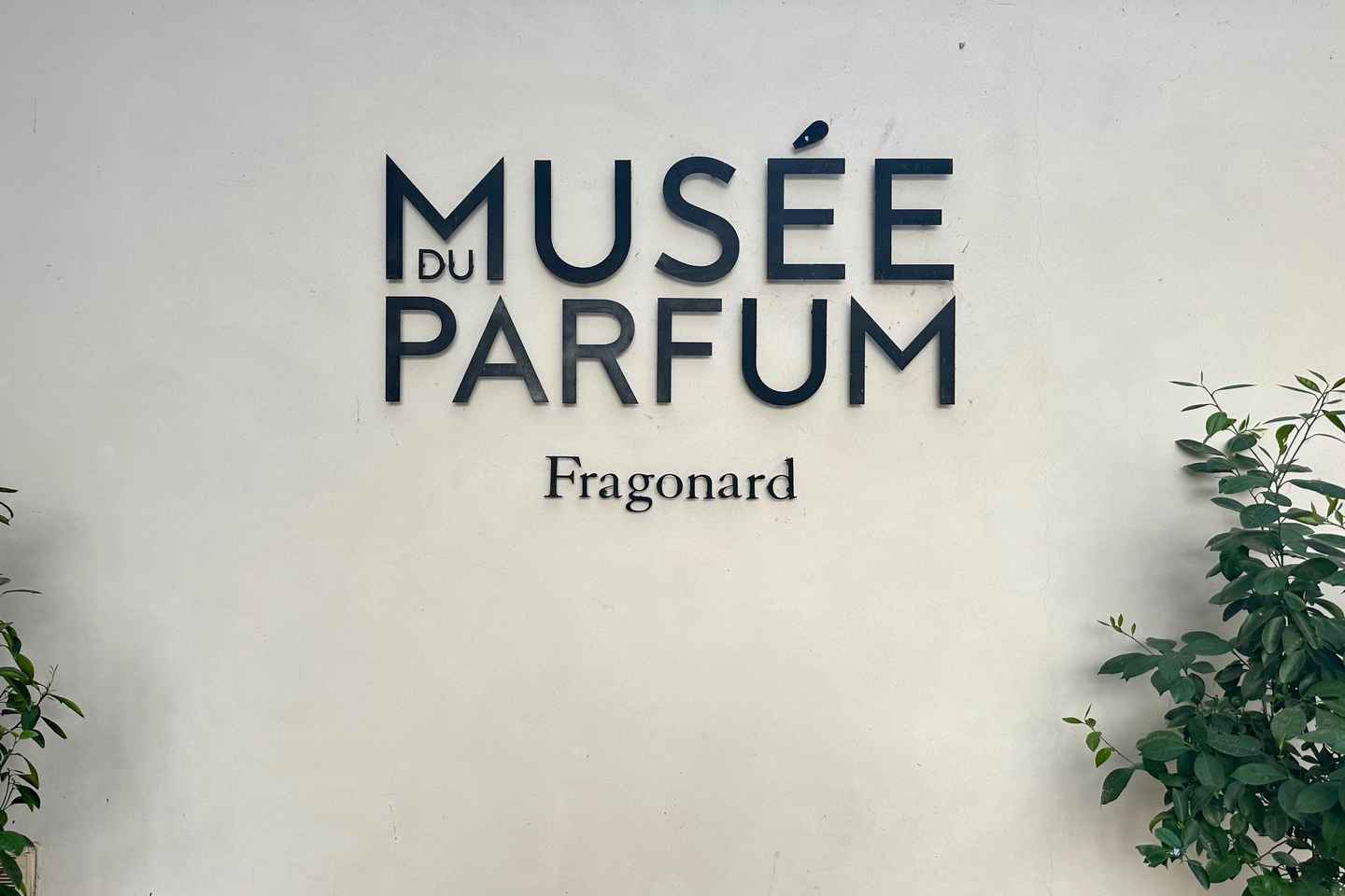 Palais Garnier Self Guided Tour and Fragonard Perfume Museum - Palais Garnier Self Guided Tour and Fragonard Perfume Museum