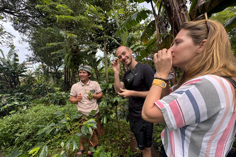 MUNDUK A Day with Local Farmers & Authentic Balinese Cooking