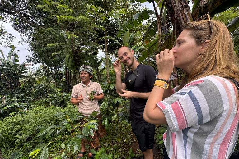 MUNDUK A Day with Local Farmers & Authentic Balinese Cooking