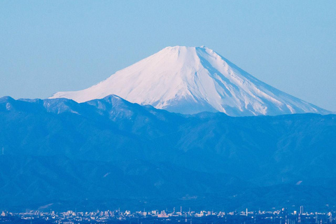 Narita Luchthaven NRT Privé transfer van/naar Regio TokioJapanse chauffeur - Vertrek pick-up Tokio naar NRT