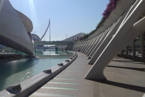 The City of Arts and Sciences in Valencia