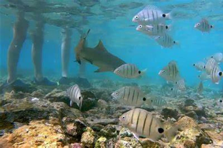 Salt Pans & Lemon Sharks Experience