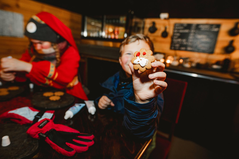 Levi：Arcandia，精灵法庭/日光和公园/黑暗精灵法庭：3 小时体验和公园之旅