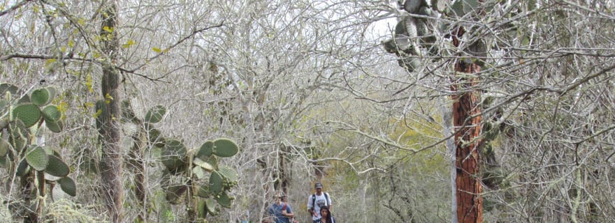 Circuit terrestre de 4 jours aux Galápagos