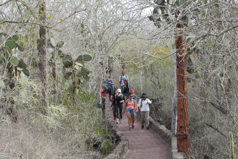 Excursión de 4 días por tierra a GalápagosExcursión de 4 días a Galápagos Tierra