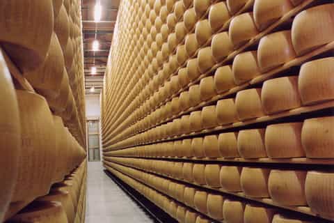Yummy Italian Food and Wine Tour with Long Lunch