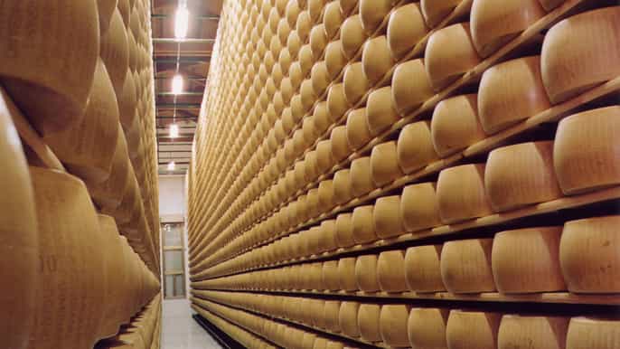yummy italian food and wine tour with long lunch