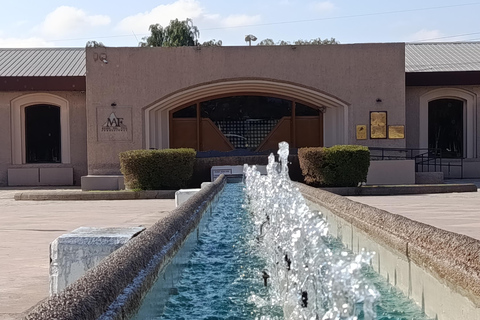 San Martín in Mendoza: History of the Army of the Andes