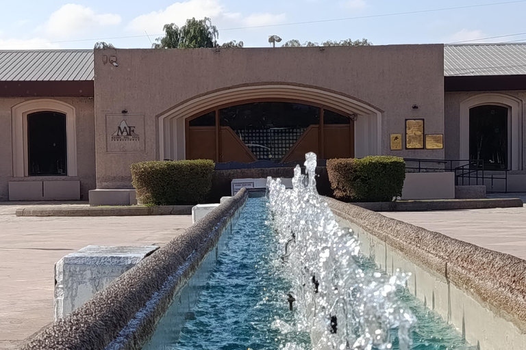 San Martín in Mendoza: History of the Army of the Andes