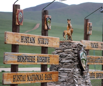 Khustai National park day tour-Wild horses