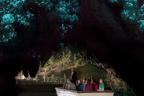 Waitomo Caves and Kiwi House