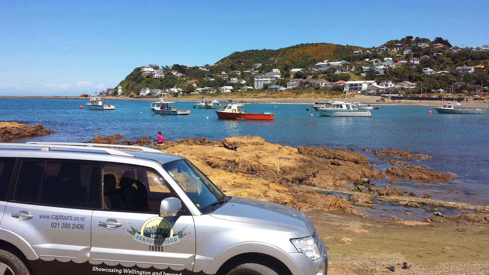 Wellington: Private Day Tour mit Mittagessen