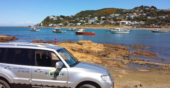 Wellington: Private Day Tour mit Mittagessen