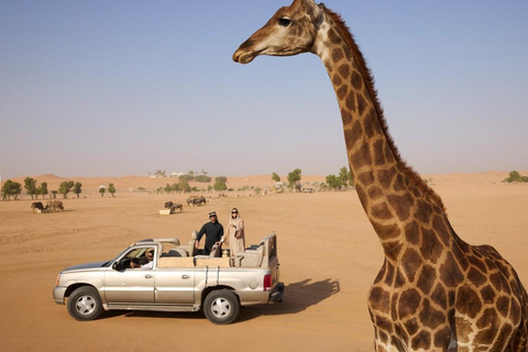 利雅得：诺法野生动物园私人Safari之旅利雅得：诺法野生动物园私人游猎之旅
