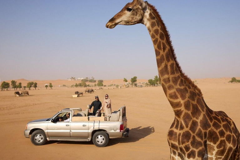 利雅得：诺法野生动物园私人Safari之旅利雅得：诺法野生动物园私人游猎之旅
