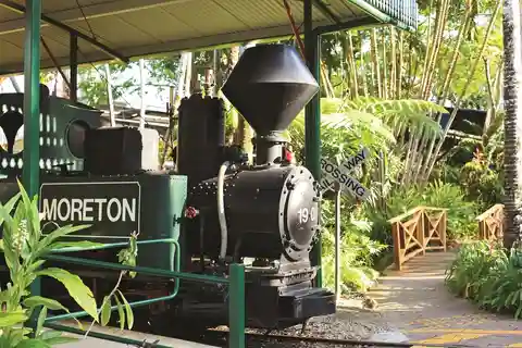 The Sunshine Coast: The Ginger Factory Play All Day