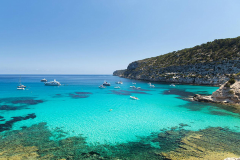 Bodrum: Orak Island Full-Day Boat Trip with Swimming & Lunch Trip with Hotel Pickup and Drop-off