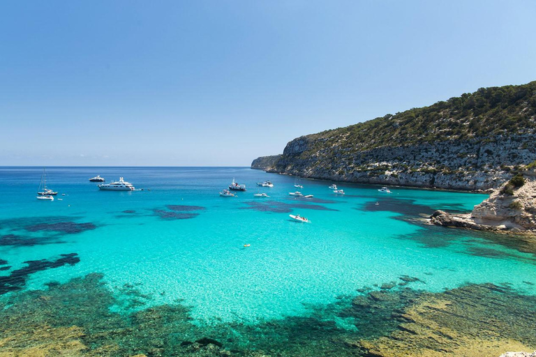 Bodrum: Orak Island Full-Day Boat Trip with Swimming & Lunch Trip with Hotel Pickup and Drop-off