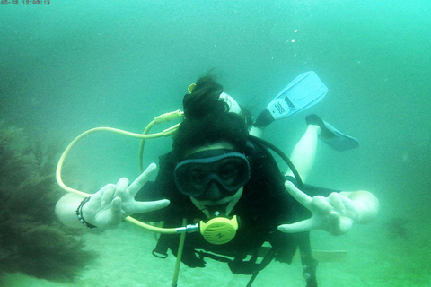 Mini Buceo en Barú + Manglares y Mapaches con almuerzo