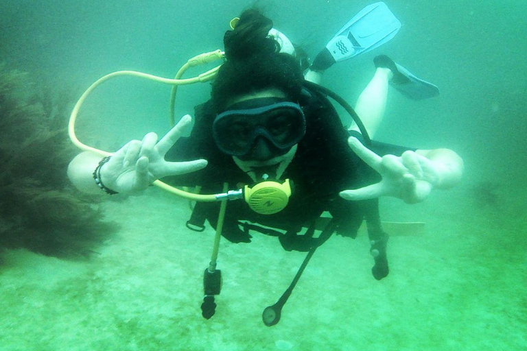 Mini plongée à Barú + Mangroves et ratons laveurs avec déjeuner