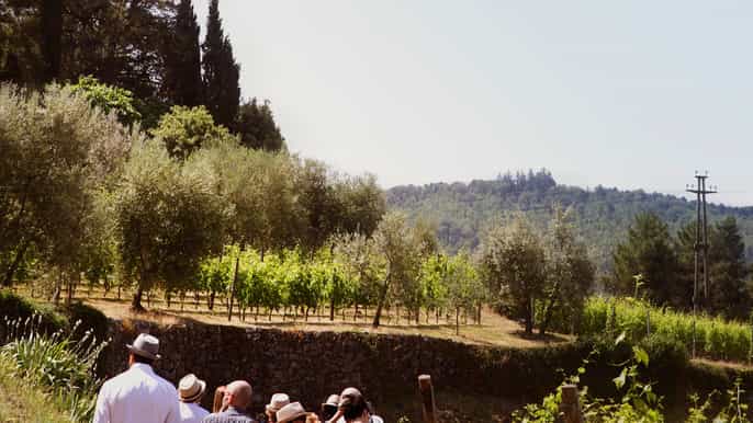 verona amarone wine tasting