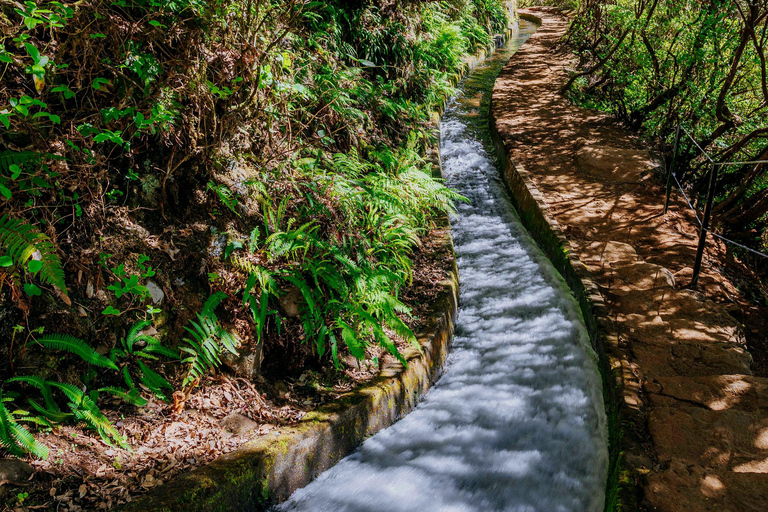 Madeira: 25 Fontes Rabaçal Hiking with Flexible Transfer
