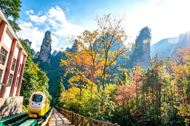 Zhangjiajie: 1-Day Tianmen & Avatar with Multilingual Guide Admission tickets not included