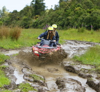 Franz Josef Town, Scenic Glacier Quad Bike Tour avec équipement - Housity