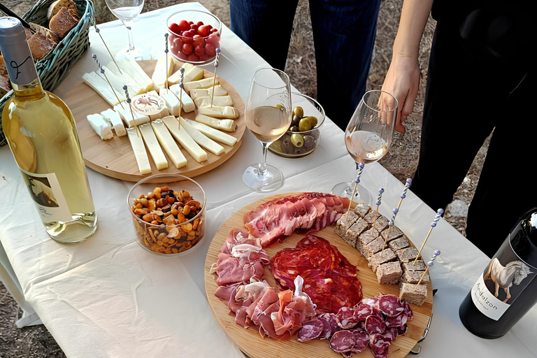 Mas Farchat: Wine tasting and tapas in the heart of nature Mas Farchat: Wine tasting with the winemakers