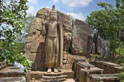 Colombo:Anuradhapura & Wilpattu Safari All Inclusive Tour Colombo: Anuradhapura & Wilpattu Safari only Transportation