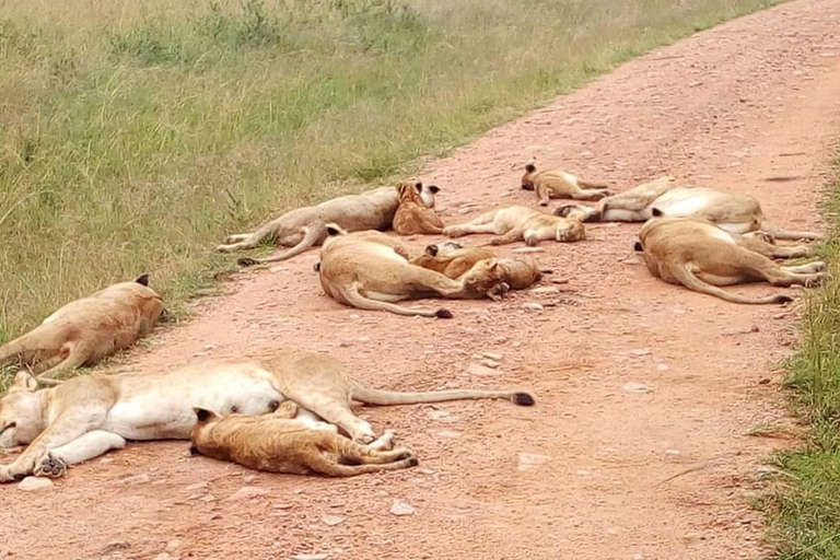 Safári de 2 dias pela vida selvagem nos parques Tsavo East e Tsavo WestParque Nacional Tsavo East: excursão de 2 dias saindo de Mombasa