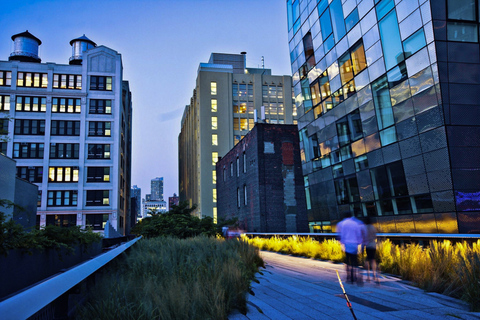 NY: tour door High Line, Chelsea en het Meatpacking DistrictPrivérondleiding