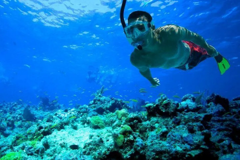 Snorkeling in Port City