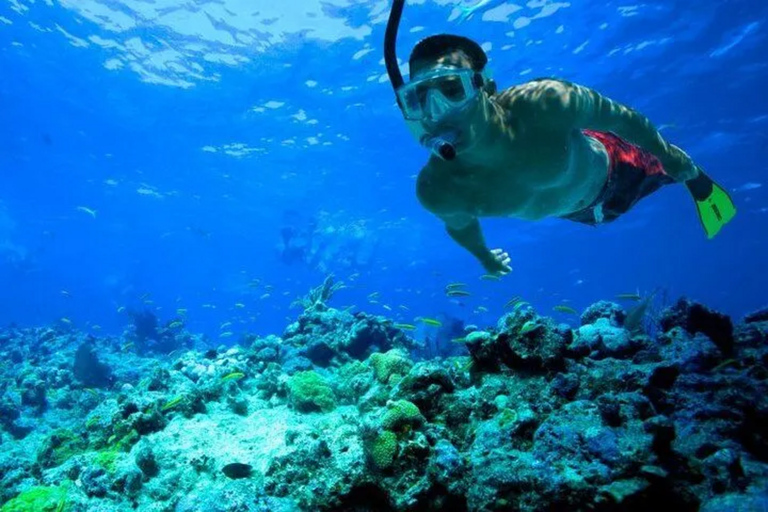 Snorkeling a Port City