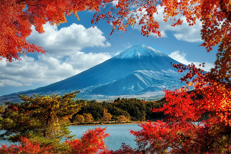 Customizable Mount Fuji Tour with Personal Driver & Lux. Van Personalized Day Trip to Mount Fuji: English Speaking Driver