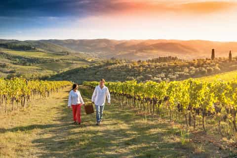 From Bologna: Chianti Classic Tour & Tasting