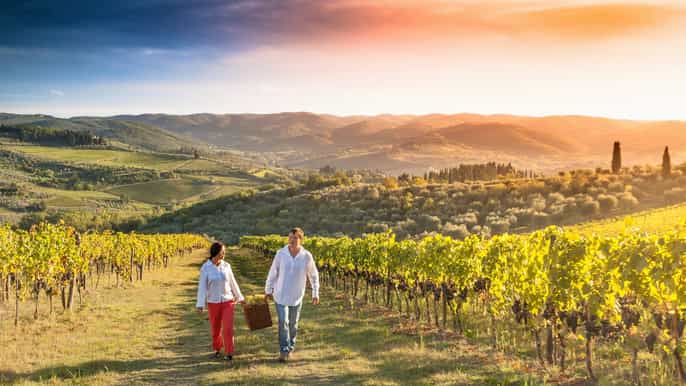 from bologna chianti classic tour tasting