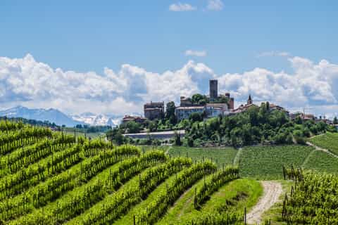 Tour del Barolo & dei sapori di Torino