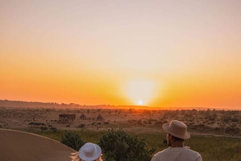 Dazzling Half Day Camel Safari Tour With Sunset