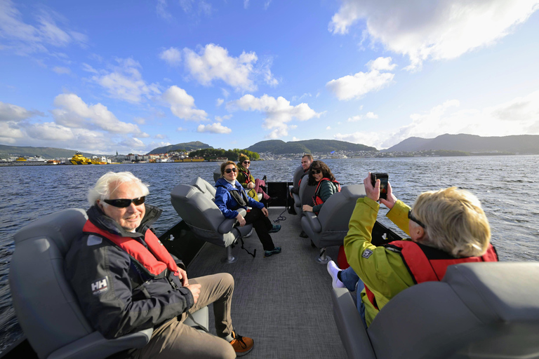 Bergen City Sightseeing Cruise by Lux Pontoon boat