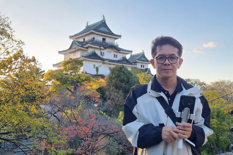 From Osaka/Kyoto: Mt. Koya & Nachi Falls Private Day Trip