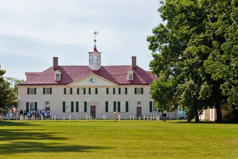 Washington DC: Mount Vernon Half-Day Tour PrivateTour of Mount Vernon By Van.