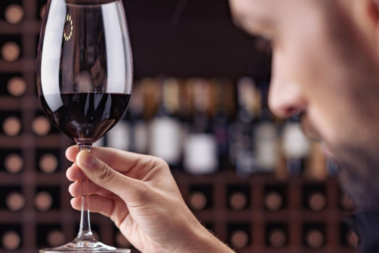 Bariloche: Wine Tasting Winehouse Experience