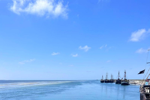 Djerba : Croisière au coucher du soleil et aventure en mer